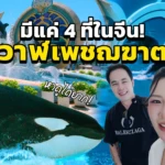 ตามล่าหาวาฬเพชฌฆาต ที่เดียวในเซียงไฮ้! Haichang Ocean Park | Shanghai Vlog